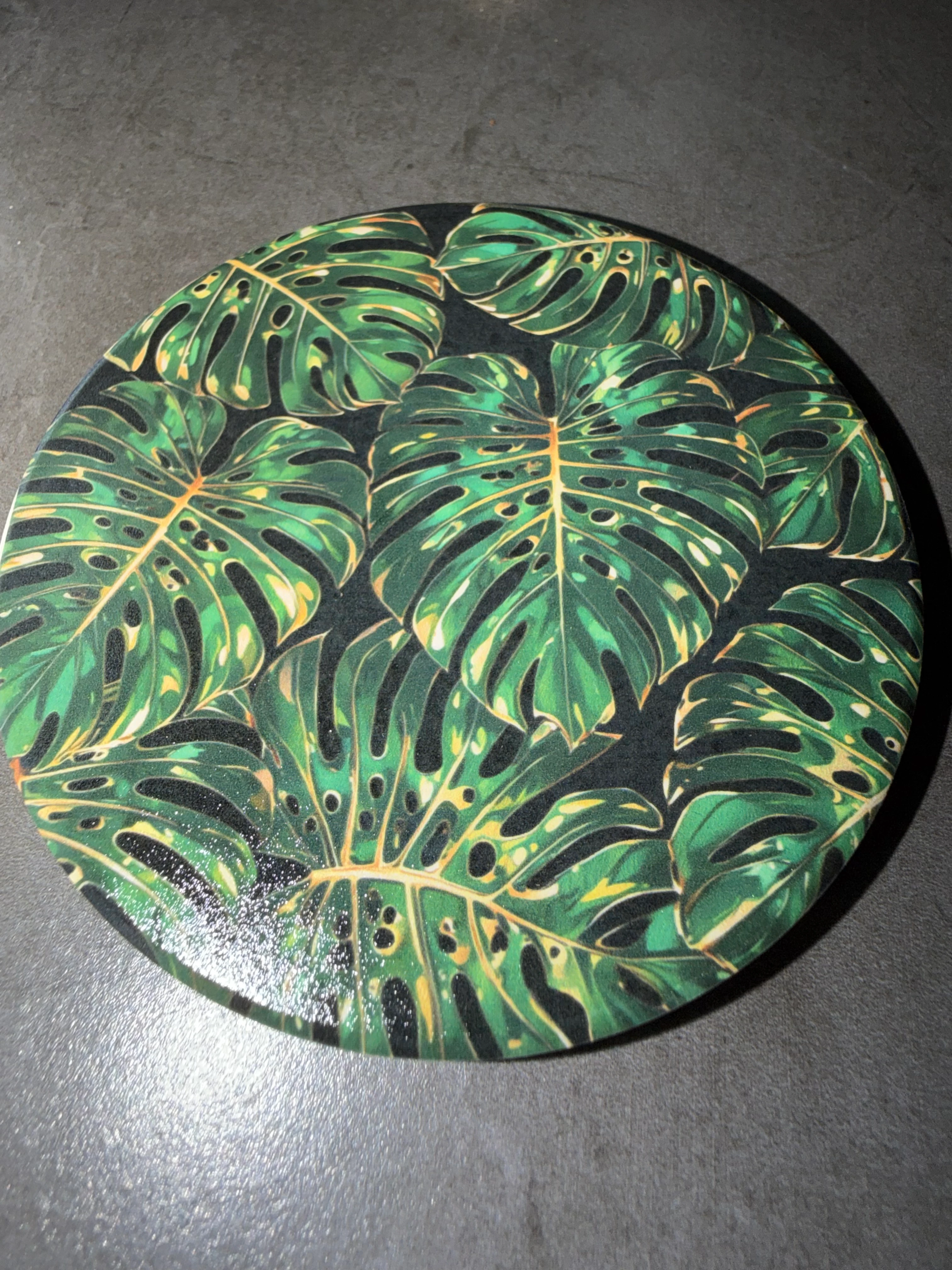 Pflanzen/Plant Untersetzer/Coaster